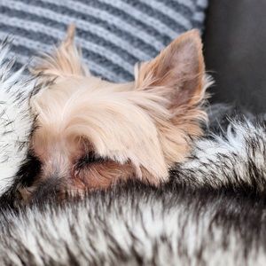 Meet your Posher, Cassie